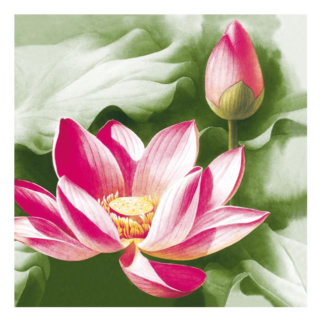 Dining Collection Lunch Napkins - Pink Lotus (#24023)